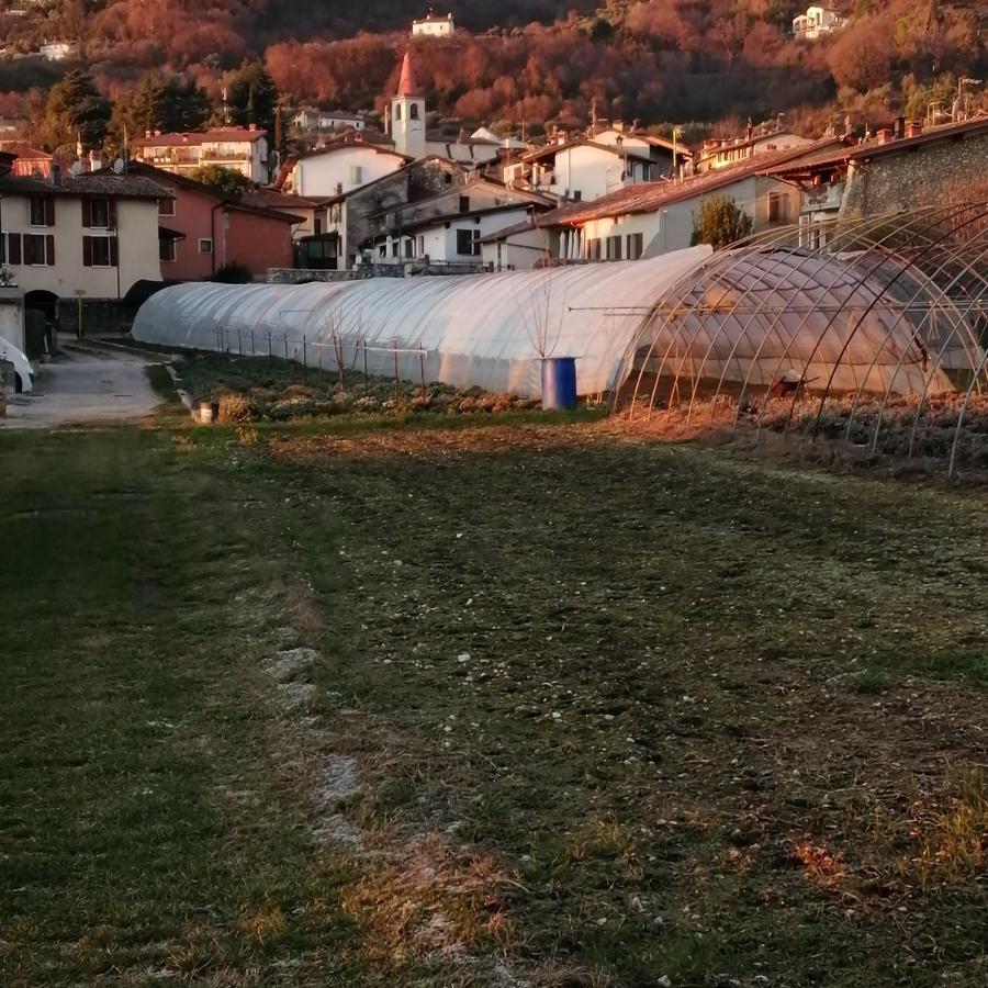 Agriturismo Corte Fontana App. Barbara Salo Exterior photo